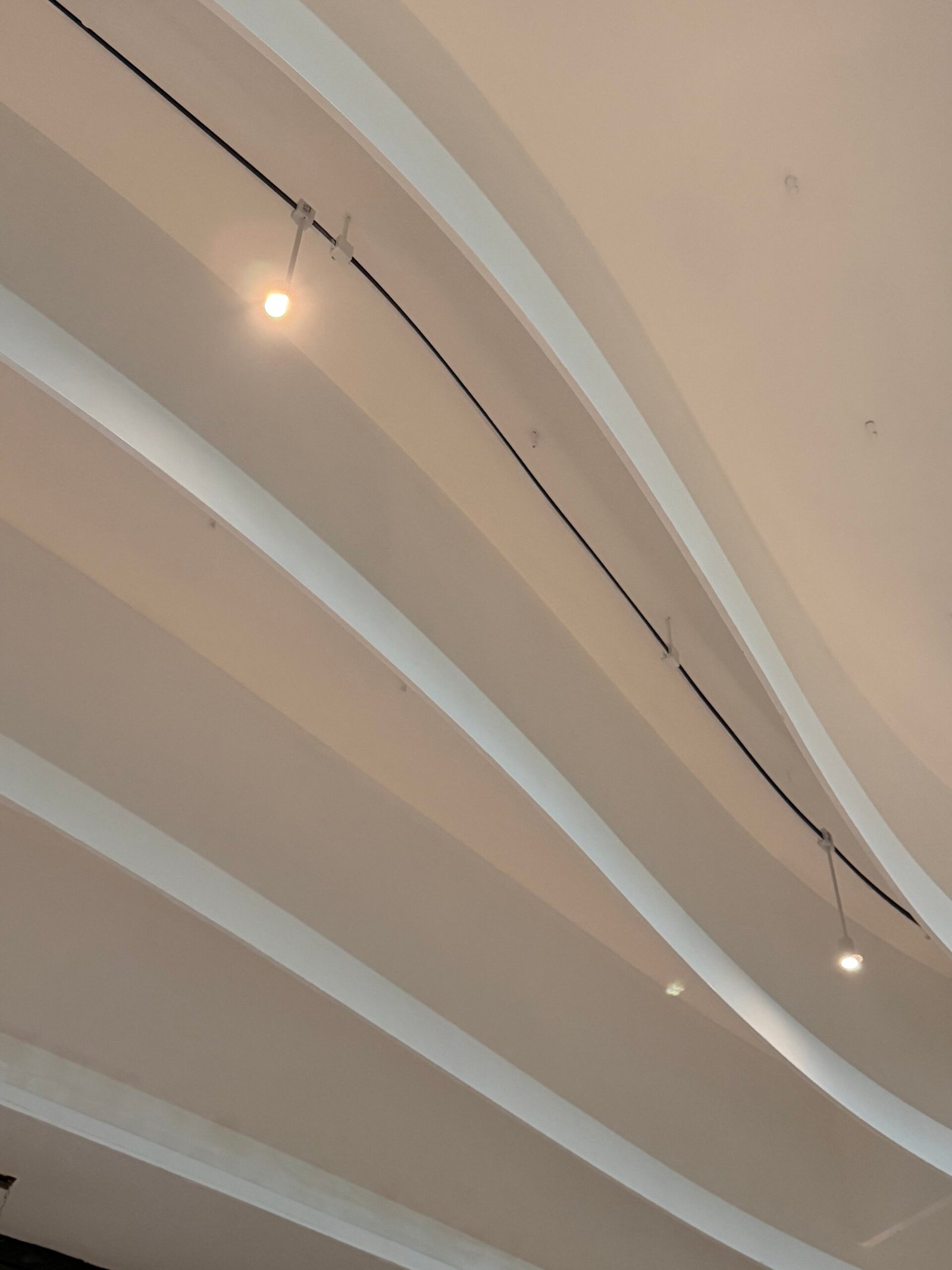 Rail magnétique incurvé noir avec spots suspendus installés sous un plafond blanc sculpté.